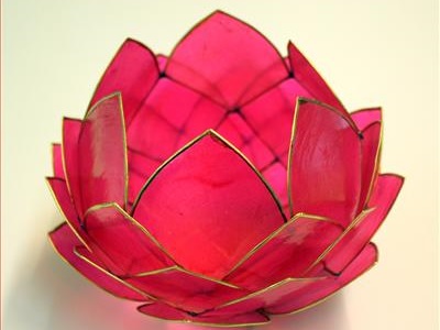 Lotus Cabbage fyrfadsholder